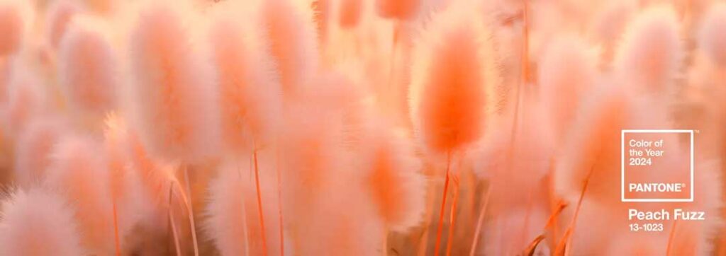 Pantone define el color del año, y para este 2024 el elegido ha sido Peach Fuzz, un tono que se encuentra a medio camino entre el naranja y el rosa
